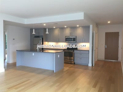 Mission Hill Amazing Luxurious 2 Bed apartment in Tremont St Boston - $5,826
