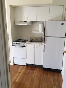 South End Apartment for rent 1 Bedroom 1 Bath Boston - $2,475