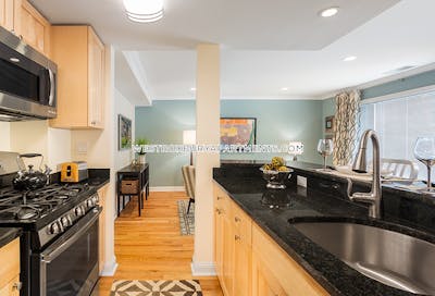 Brookline Apartment for rent 1 Bedroom 1.5 Baths  Chestnut Hill - $2,655 No Fee