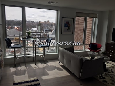 Brighton 2 Beds 2 Baths Boston - $3,912 No Fee