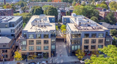 Mission Hill Apartment for rent 3 Bedrooms 2 Baths Boston - $6,013 No Fee