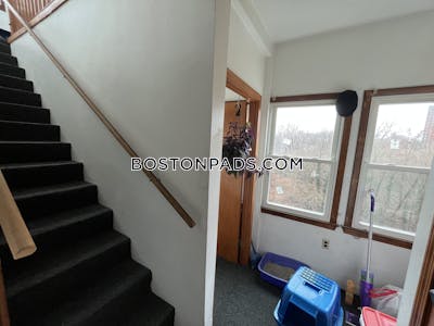 Fort Hill Apartment for rent 3 Bedrooms 1 Bath Boston - $3,400