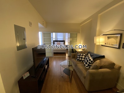 Downtown Apartment for rent 2 Bedrooms 1 Bath Boston - $4,200