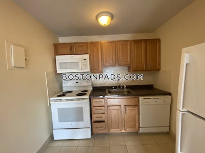 Allston Apartment for rent 1 Bedroom 1 Bath Boston - $3,300